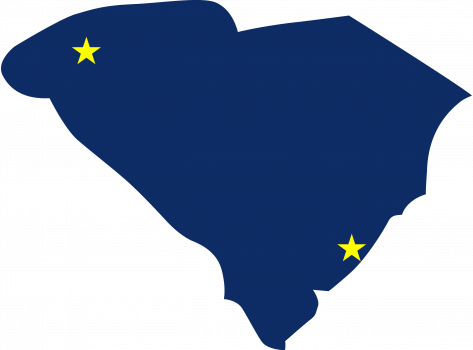 vikingmergers-state-south-carolina